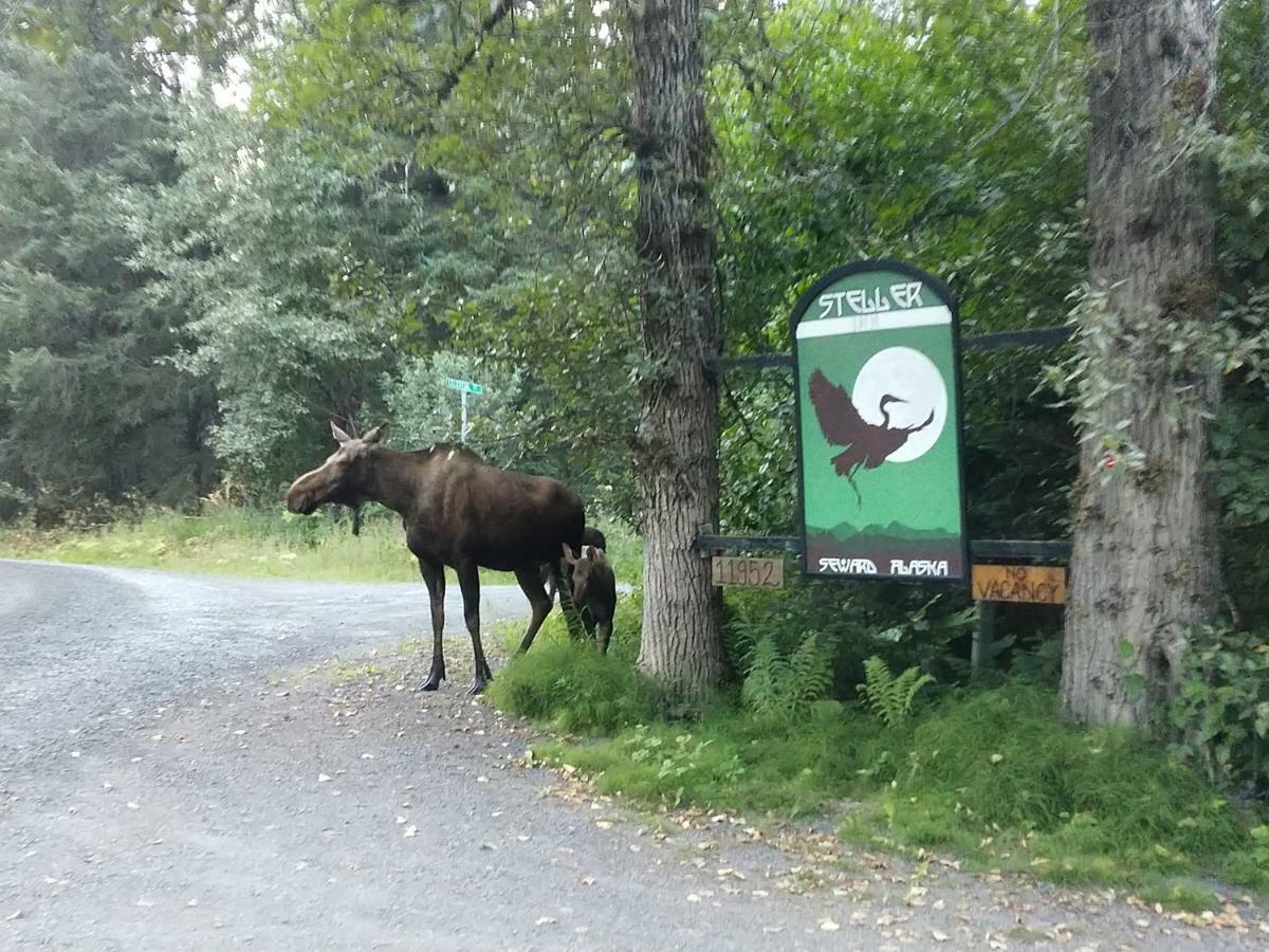 Steller Inn Seward Exteriér fotografie